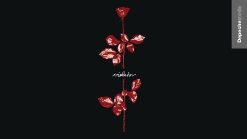 82554910_2594289247474253_6314757507545825280_o